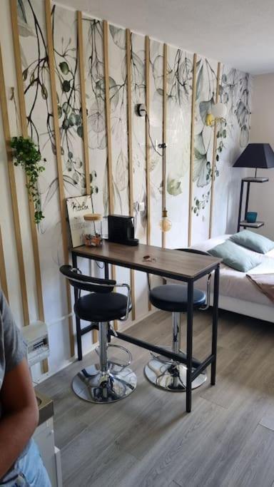 Hsh France Location Disney Land Paris - Suite Nicolas - Appartement De Charme Bussy-Saint-Georges Luaran gambar