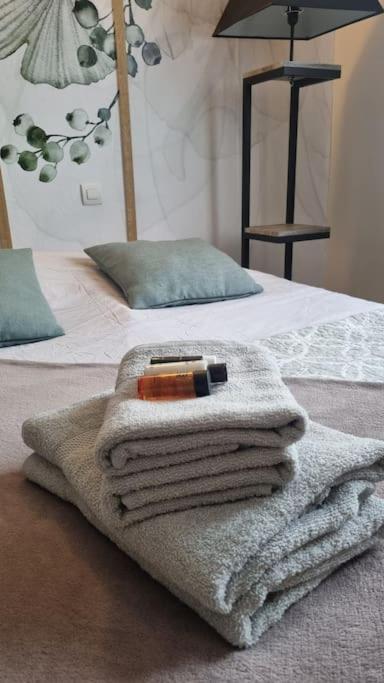 Hsh France Location Disney Land Paris - Suite Nicolas - Appartement De Charme Bussy-Saint-Georges Luaran gambar